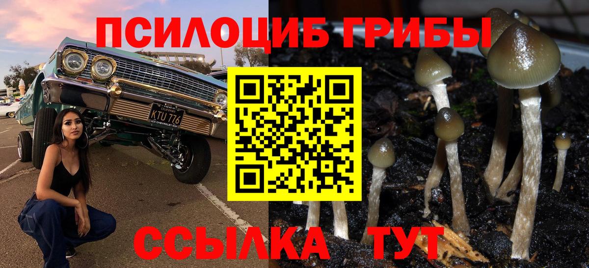 Галлюциногенные грибы Magic Shrooms  Вход с VPN  Ярцево 